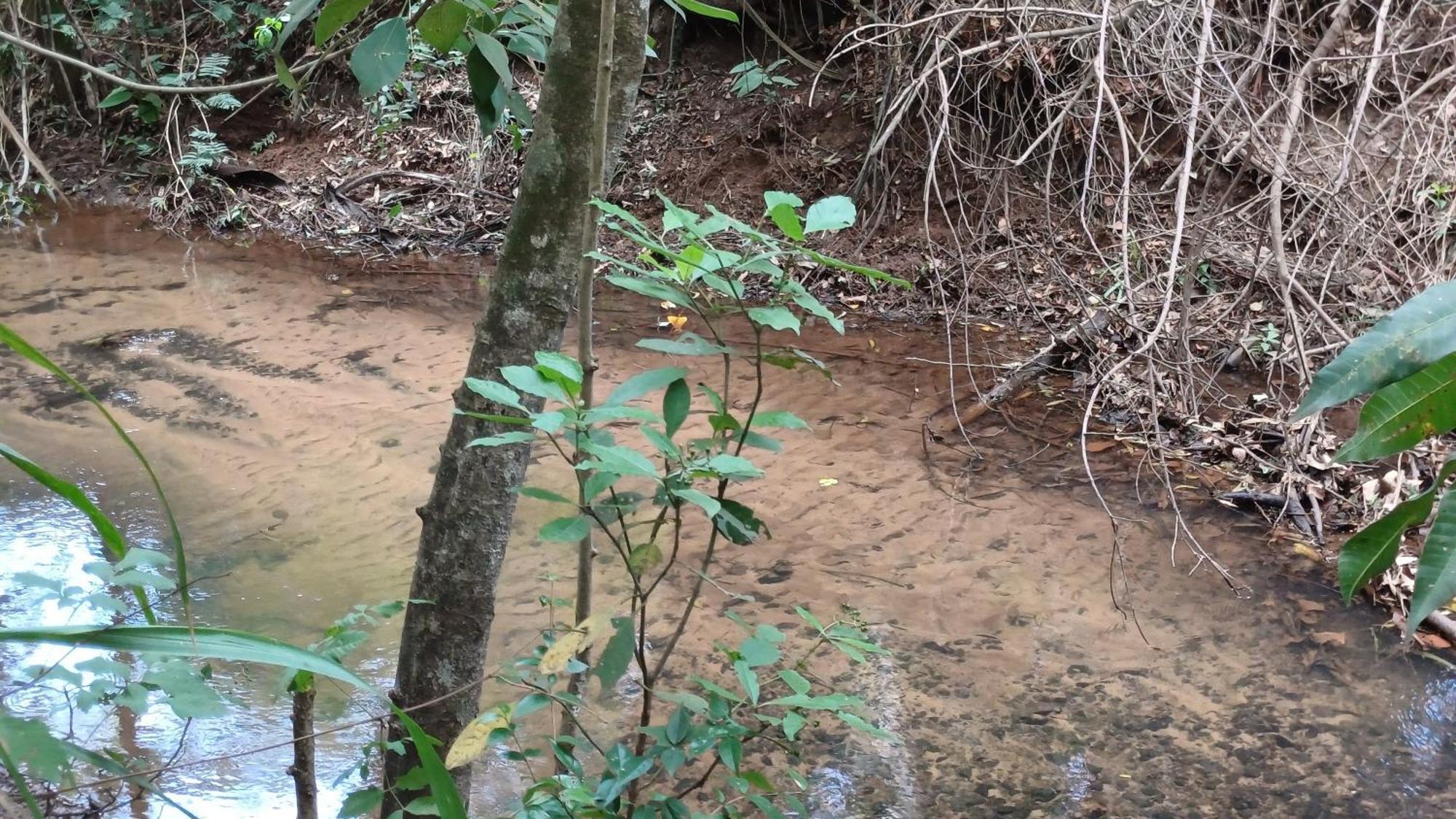 Sitio Encontro Das Aguas Brotas Сан-Паулу Екстер'єр фото